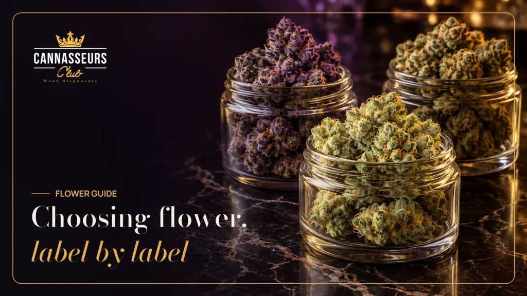 Cannabis flower in glass jars at Cannasseurs Club, North Hollywood