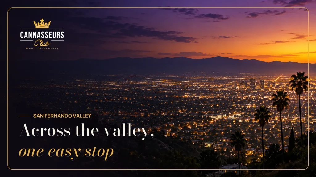 San Fernando Valley city lights at dusk